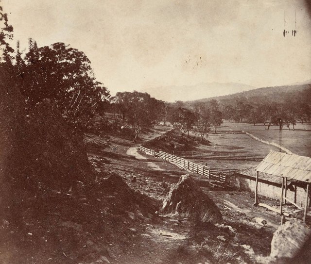 Lands fenced & inaccessible to Aboriginal people. “Thornthwaite”: view along Dartbrook Rd, towards Liverpool Ranges c1860 SLNSW